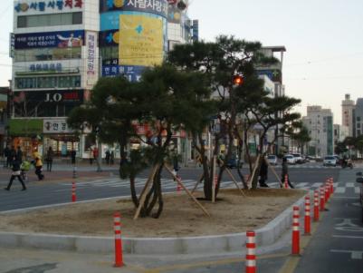 도심 속 녹색 교통섬 조성으로 도로환경 개선